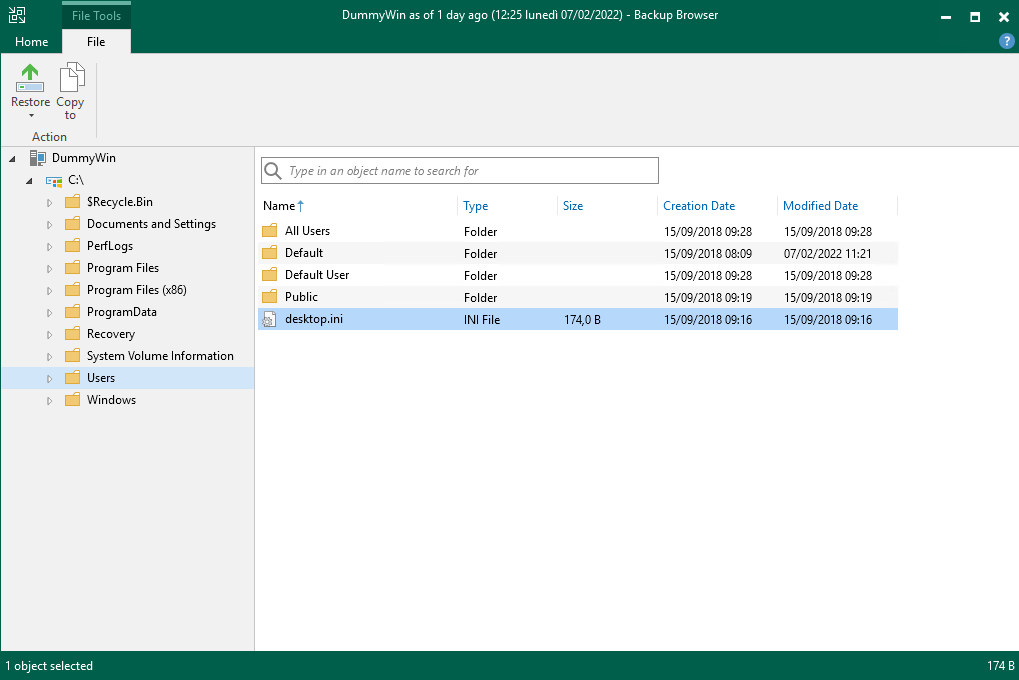 Restore files from a Windows VM